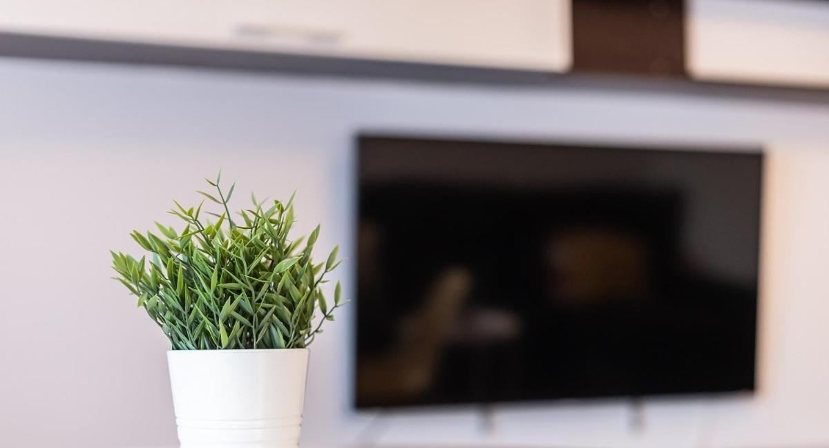 Adaptado Y Comodo Apartamento En Iturrama Pamplona Exteriör bild